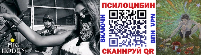 Галлюциногенные грибы прущие грибы  Обнинск 
